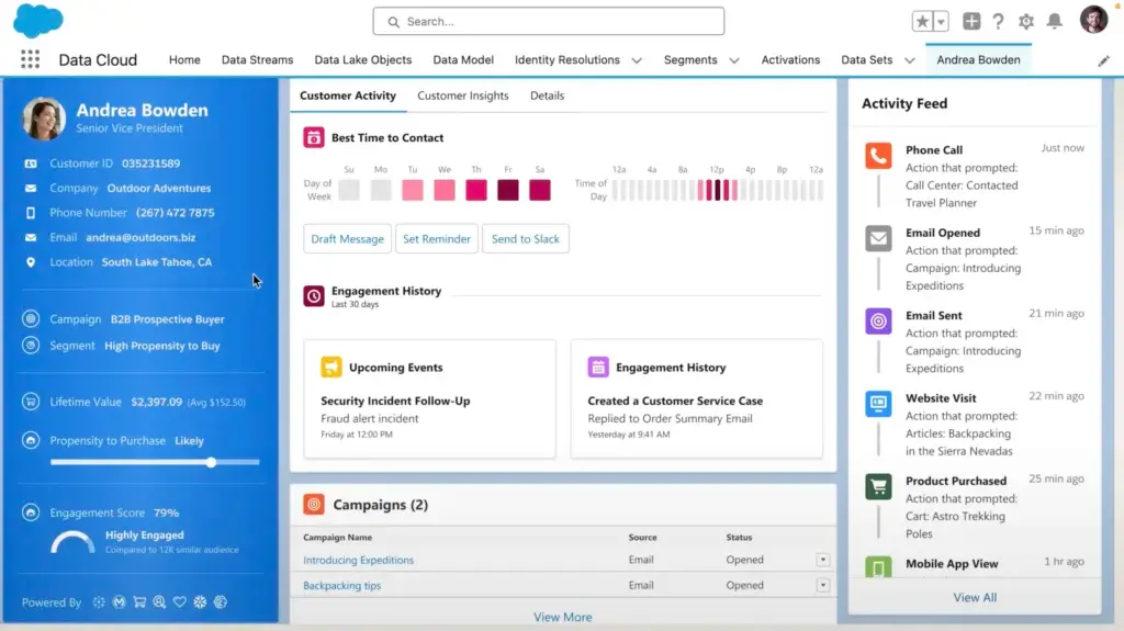 Salesforce unified customer profile interface.