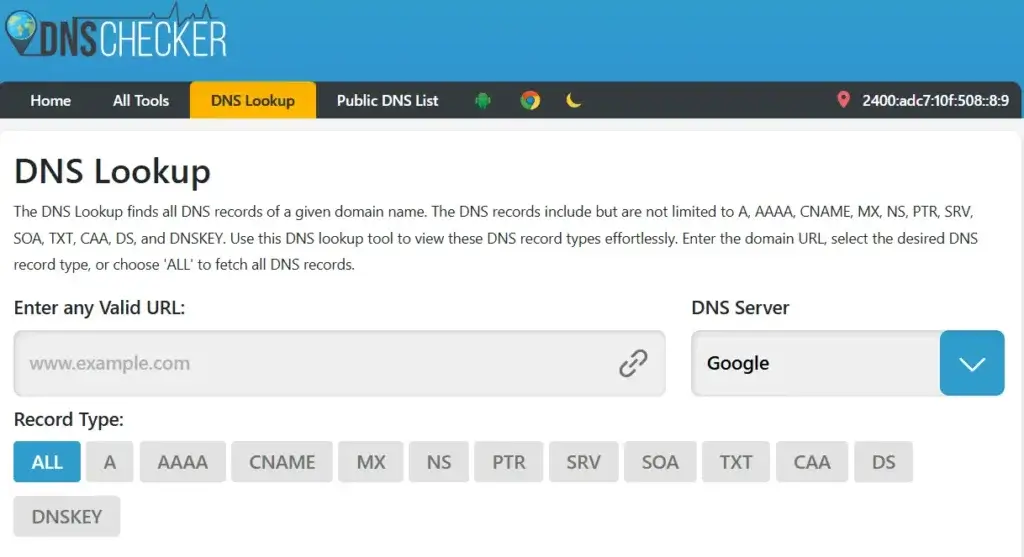 DNS Lookup tool interface showing DNS record types and domain input field.