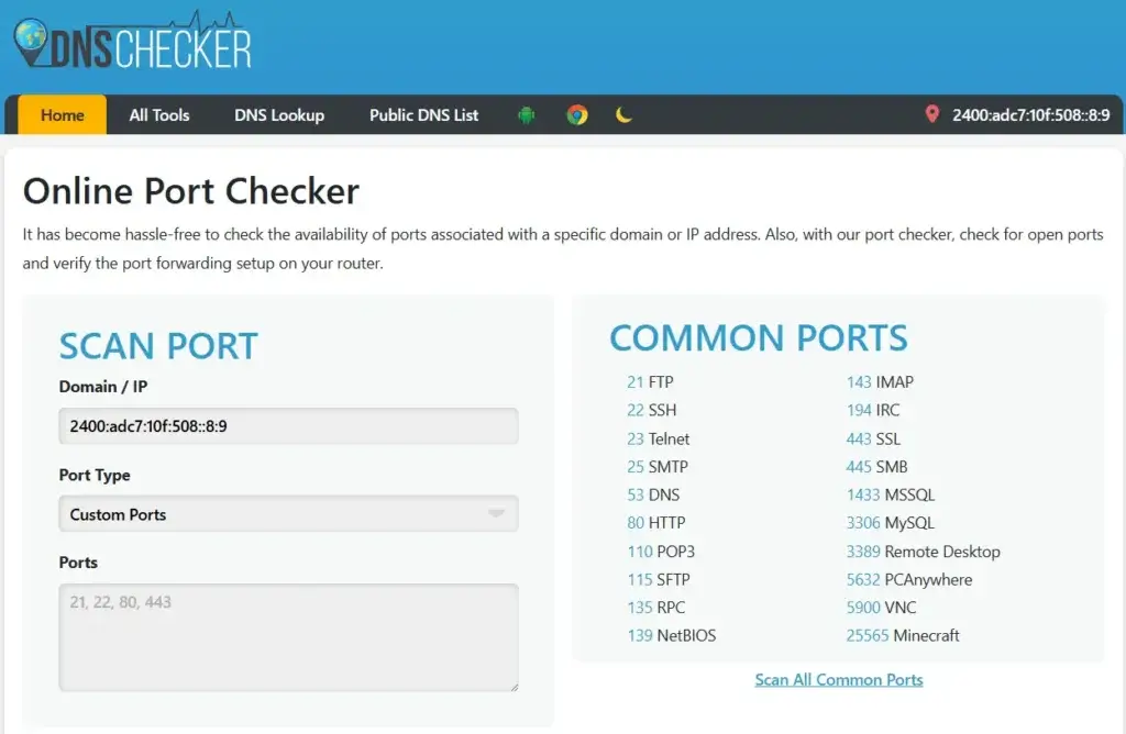 DNS Checker Online port checker interface displaying port scan options and common port list.