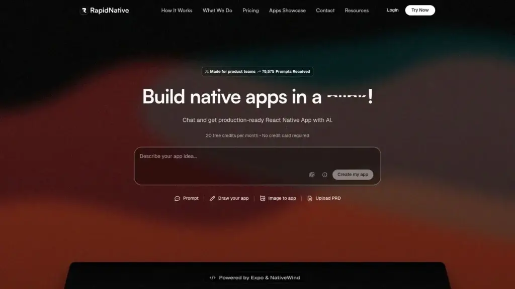 RapidNative homepage showing prompt, sketch and image-to-app generation options