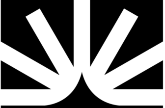 Fullstory icon with white radial lines on a black background