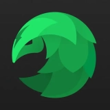 SafeShell VPN Review 2026