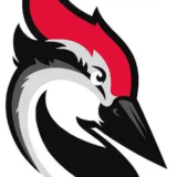 Woodpecker Review 2026
