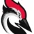 Woodpecker Review 2026
